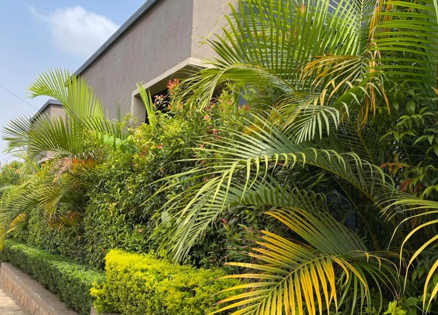 Ashleys Hotel Kampala 0*,